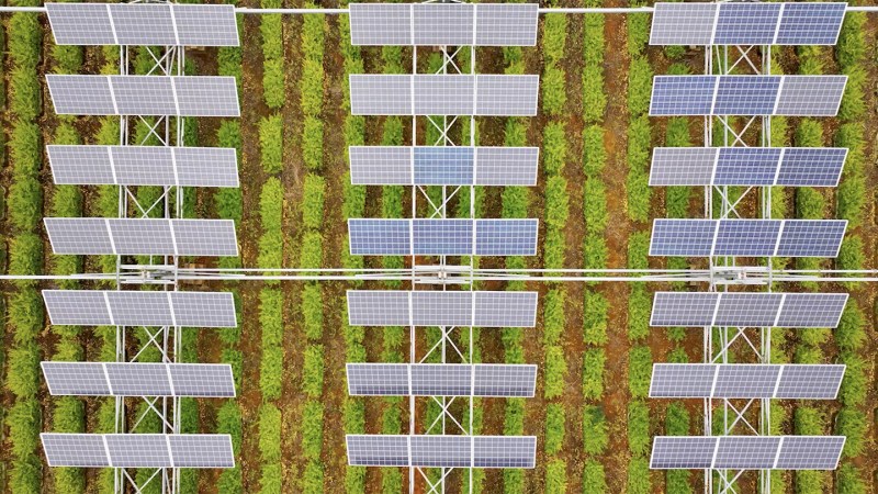 Can solar farms and crop farms coexist?